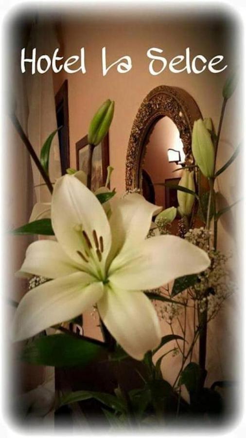 מונסליצ'ה Hotel La Selce מראה חיצוני תמונה